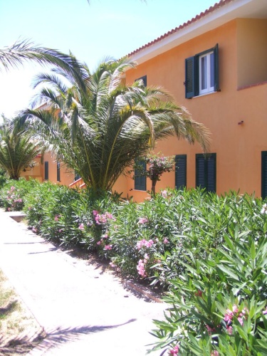 Marasusa, Parghelia, 89861, 2 Bedrooms Bedrooms, 3 Rooms Rooms,1 BathroomBathrooms,Lägenhet,Till salu,Marasusa,1011