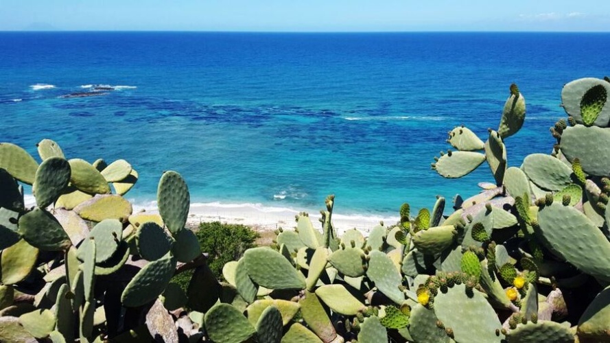 Santa Domenica, 4 Bedrooms Bedrooms, 4 Rooms Rooms,3 BathroomsBathrooms,Villa,Till salu,1119