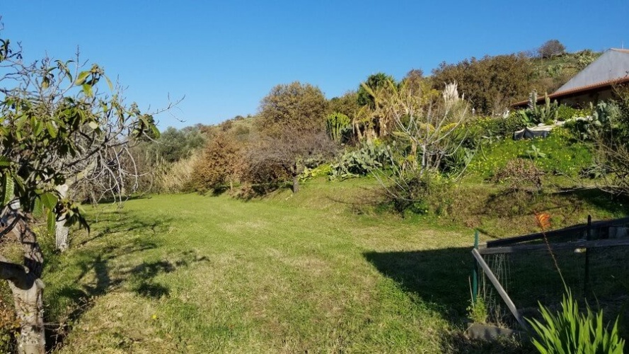 Santa Domenica, ,Tomtmark,Till salu,1142