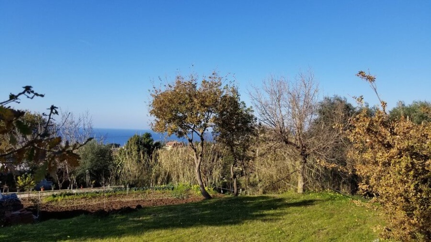 Santa Domenica, ,Tomtmark,Till salu,1142