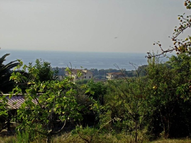 Santa Domenica, ,Tomtmark,Till salu,1142