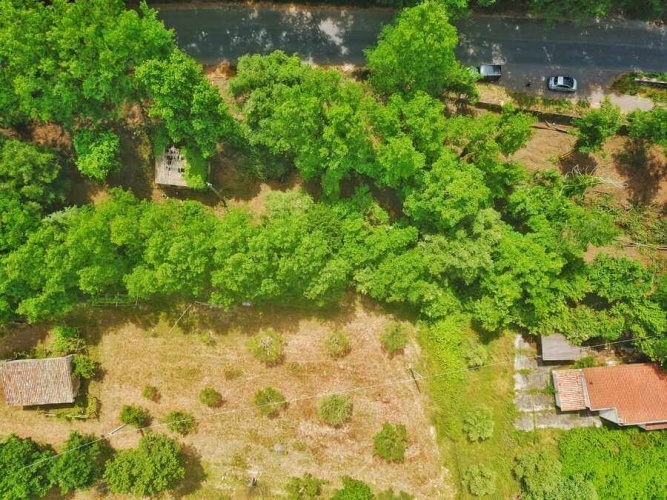 Tropea, ,Tomtmark,Till salu,1144