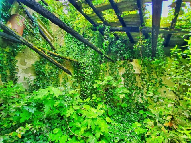 Tropea, ,Tomtmark,Till salu,1144