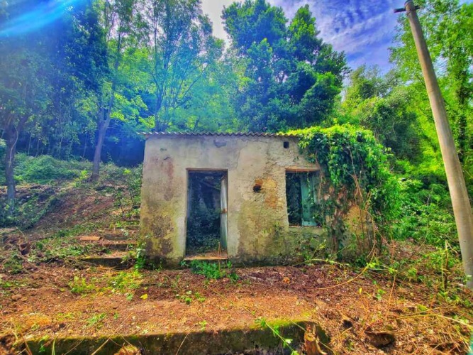 Tropea, ,Tomtmark,Till salu,1144