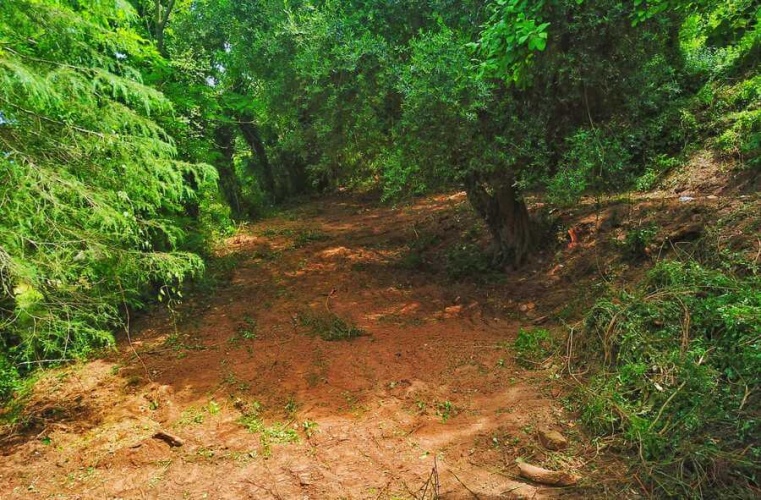 Tropea, ,Tomtmark,Till salu,1144