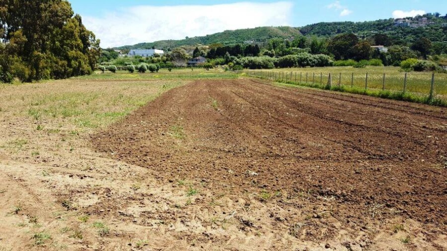 Santa Domenica, 89866, ,Tomtmark,Till salu,1145