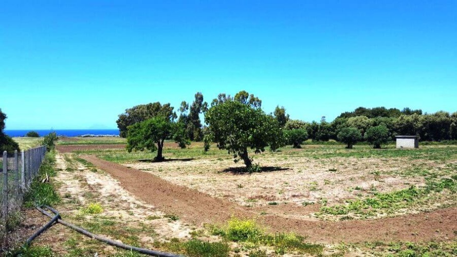 Santa Domenica, 89866, ,Tomtmark,Till salu,1145