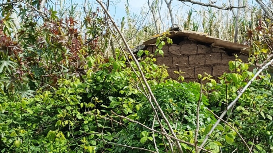 Santa Domenica, 89866, ,Tomtmark,Till salu,1145