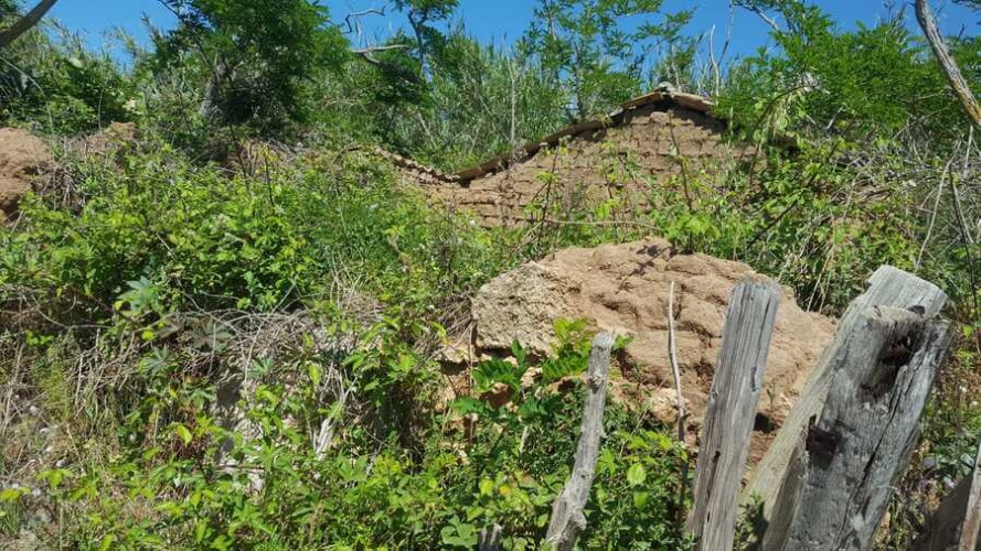 Santa Domenica, 89866, ,Tomtmark,Till salu,1145