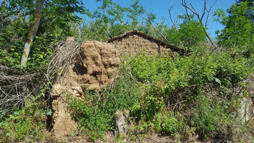 Santa Domenica, 89866, ,Tomtmark,Till salu,1145