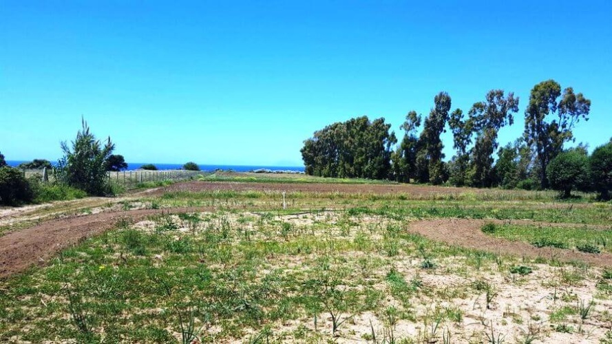 Santa Domenica, 89866, ,Tomtmark,Till salu,1145