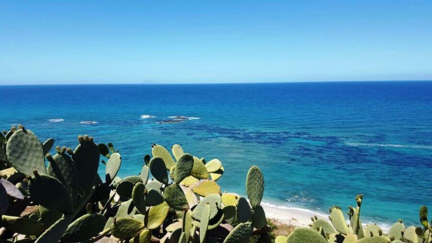 Santa Domenica, 89866, ,Tomtmark,Till salu,1145