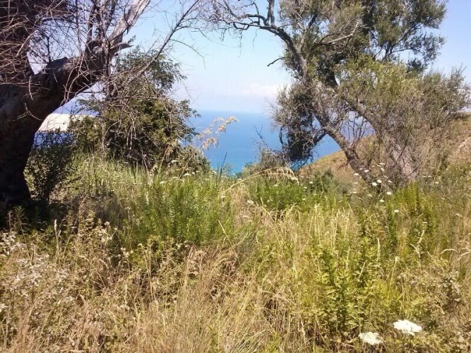 Parghelia, 89861, ,Tomtmark,Till salu,1146