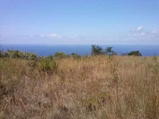 Parghelia, 89861, ,Tomtmark,Till salu,1146