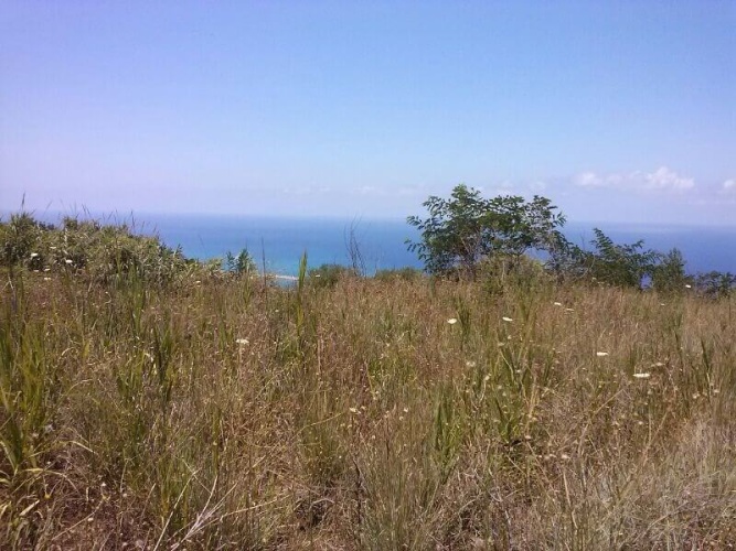 Parghelia, 89861, ,Tomtmark,Till salu,1146