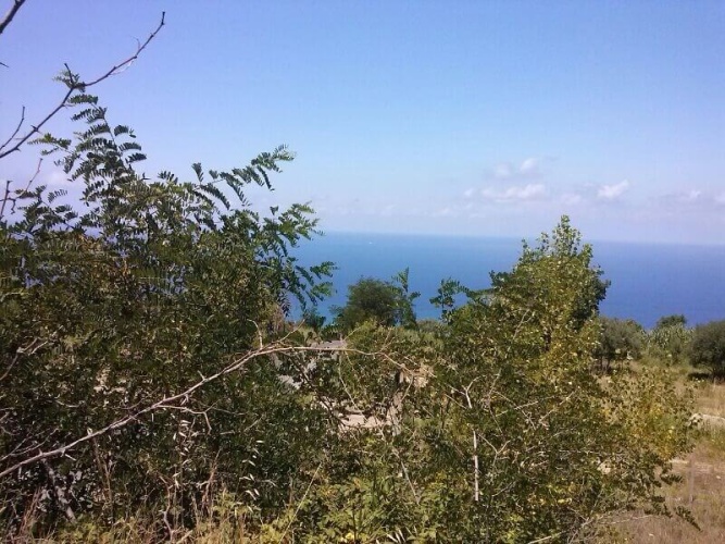 Parghelia, 89861, ,Tomtmark,Till salu,1146