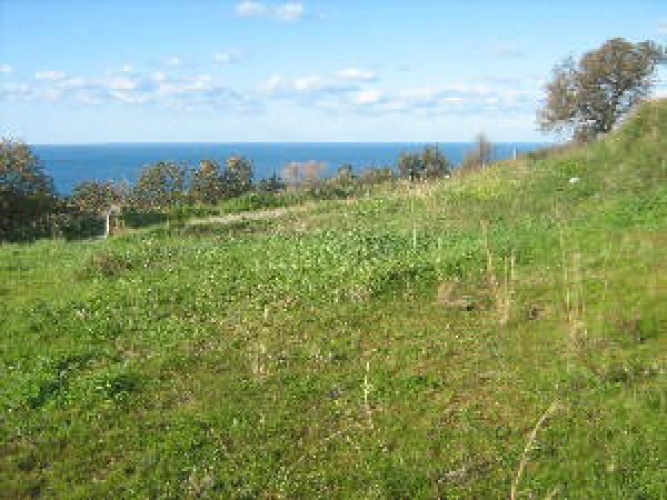 Santa Domenica, 89861, ,Tomtmark,Till salu,1147