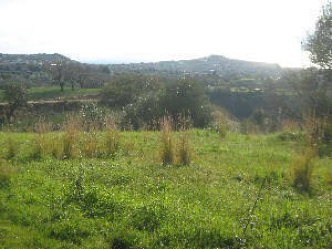 Santa Domenica, 89861, ,Tomtmark,Till salu,1147