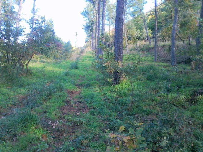 Tropea, Calabria 89861, ,Tomtmark,Till salu,1149