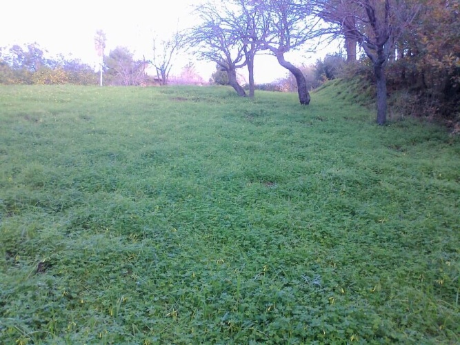 Tropea, Calabria 89861, ,Tomtmark,Till salu,1149