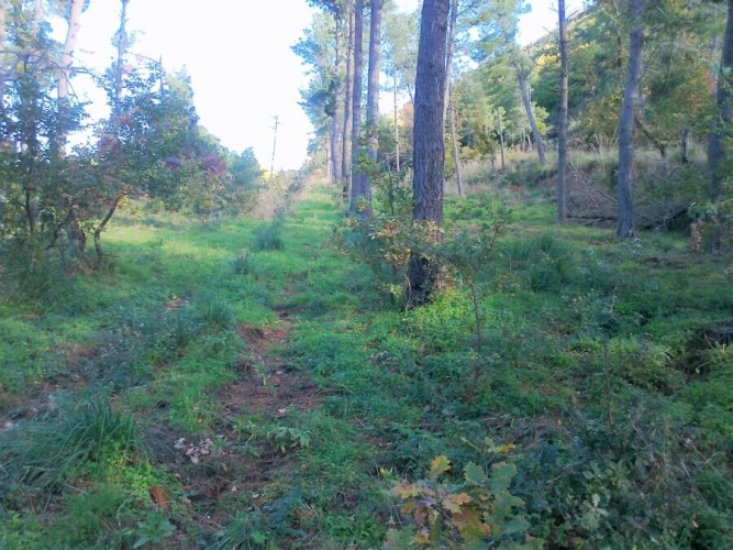 Tropea, Calabria 89861, ,Tomtmark,Till salu,1149