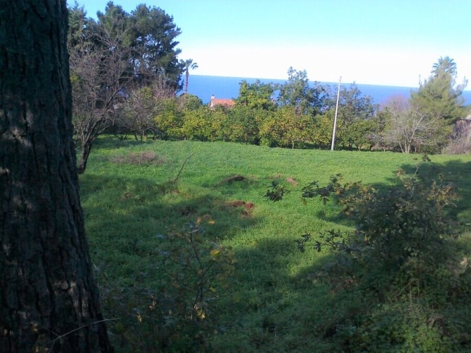 Tropea, Calabria 89861, ,Tomtmark,Till salu,1149