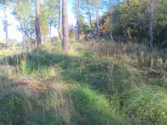 Tropea, Calabria 89861, ,Tomtmark,Till salu,1149