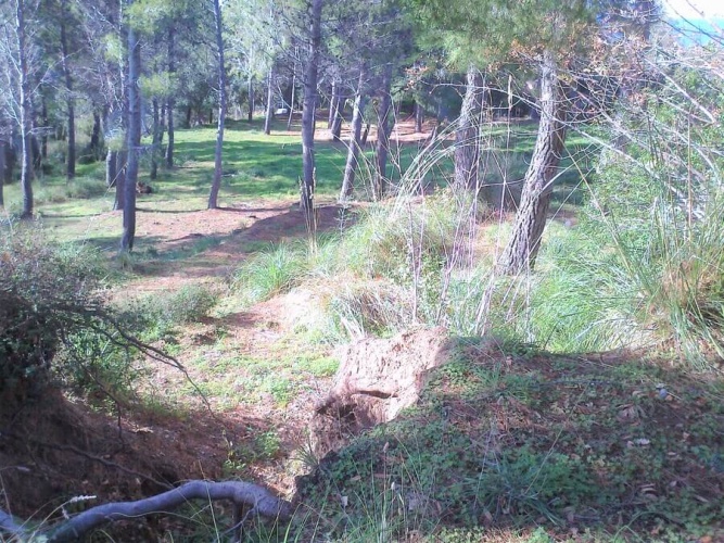 Tropea, Calabria 89861, ,Tomtmark,Till salu,1149