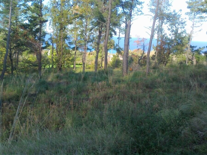 Tropea, Calabria 89861, ,Tomtmark,Till salu,1149