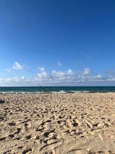 57 Via Costantino, Castellammare del Golfo, 91014, 1 Bedroom Bedrooms, 2 Rooms Rooms,1 BathroomBathrooms,Lägenhet,Att hyra,Via Costantino ,3,1162