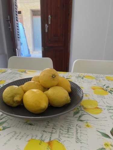 57 Via Costantino, Castellammare del Golfo, 91014, 1 Bedroom Bedrooms, 2 Rooms Rooms,1 BathroomBathrooms,Lägenhet,Att hyra,Via Costantino,1164