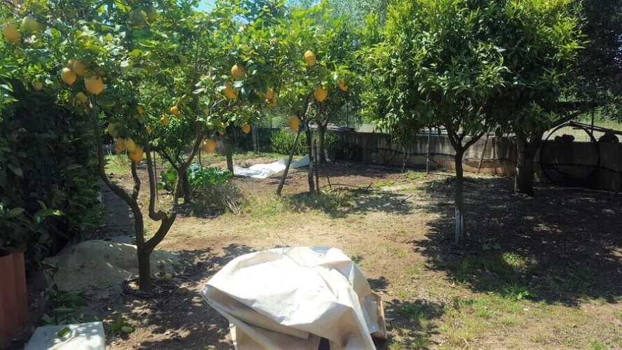 Tropea, 7 Bedrooms Bedrooms, 10 Rooms Rooms,6 BathroomsBathrooms,Villa,Till salu,1037