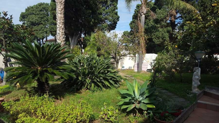 Santa Domenica, 3 Bedrooms Bedrooms, 4 Rooms Rooms,2 BathroomsBathrooms,Villa,Till salu,1055