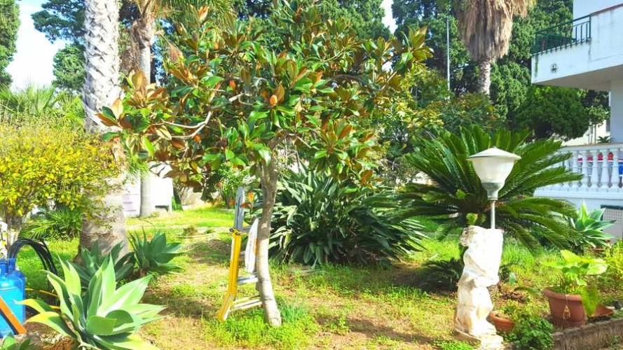 Santa Domenica, 3 Bedrooms Bedrooms, 4 Rooms Rooms,2 BathroomsBathrooms,Villa,Till salu,1055