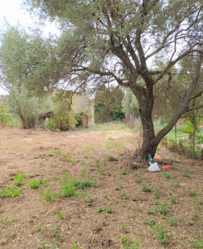 Sant' Angelo, 89831 Vibo Valentia, ,Tomtmark,Till salu,1059