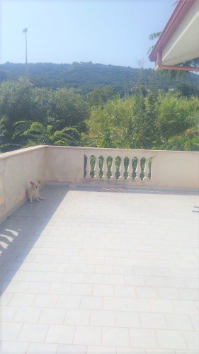 Santa Domenica, 2 Bedrooms Bedrooms, 4 Rooms Rooms,2 BathroomsBathrooms,Lägenhet,Till salu,1078