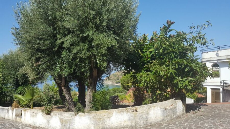 Capo Vaticano, 4 Bedrooms Bedrooms, 5 Rooms Rooms,2 BathroomsBathrooms,Villa,Till salu,1083